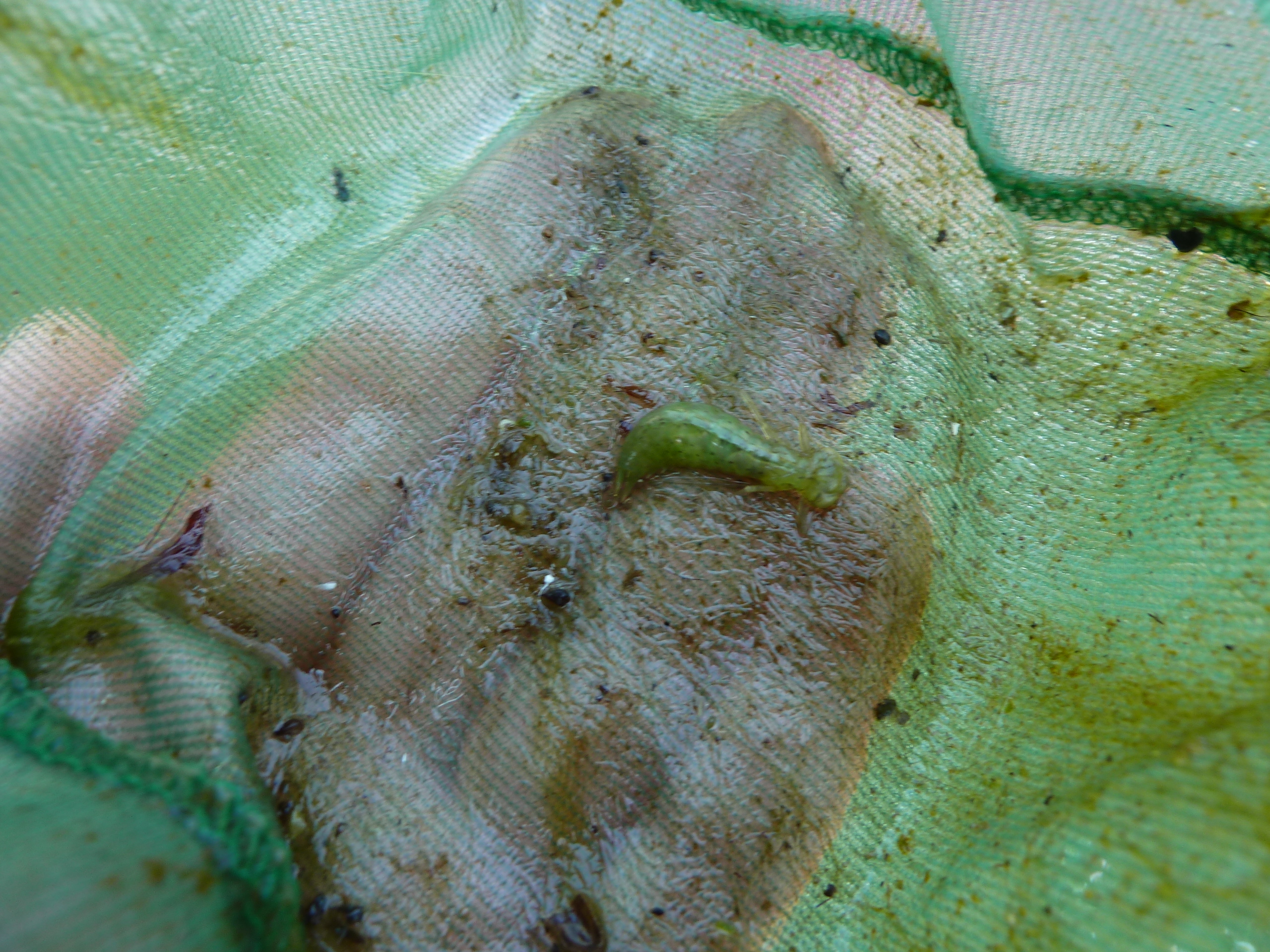 P1100328