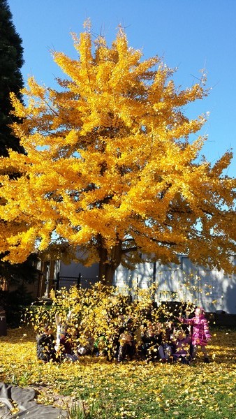 20151110_101402_14