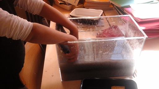 4) Plonger le tamis dans le bac pour récupérer de la pâte